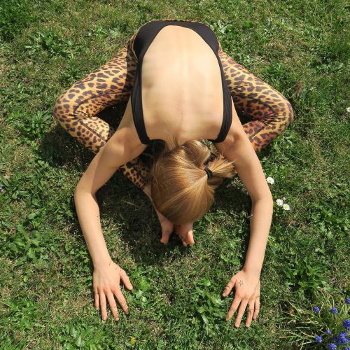 love, health & Spirit - Yin Yoga Schmetterling